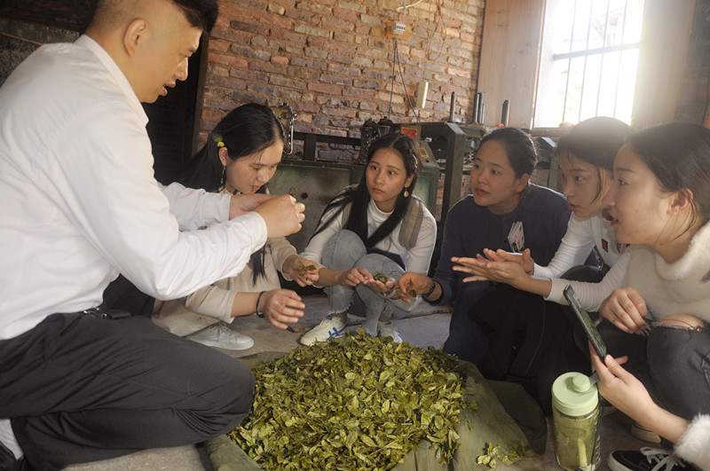 厦门茶艺师培训哪家最好？