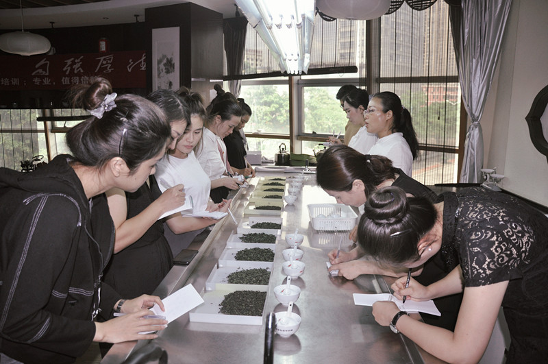 想学茶道在哪里可以学? 在教识茶把茶泡好的学校