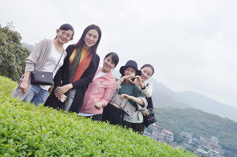 茶艺师培训学什么才是对的?