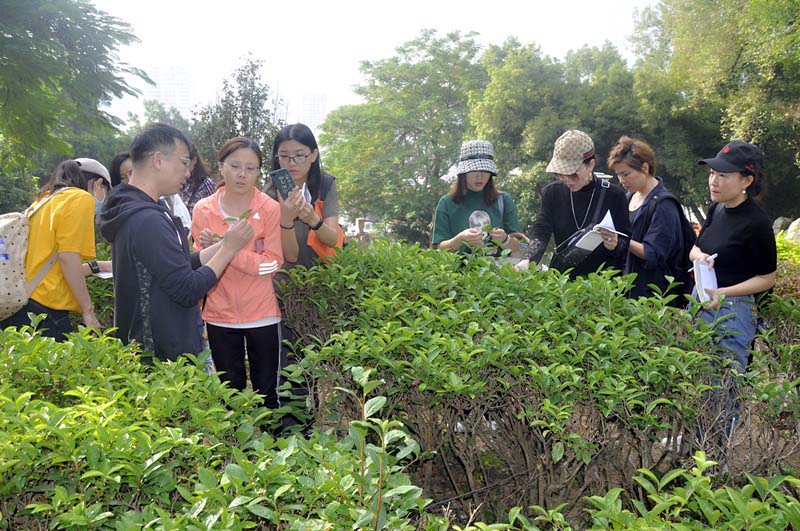 厦门茶道与茶文化学习　厦门天晟茶事